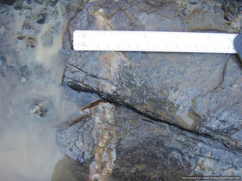 South Quarry northern vein in trench 8
