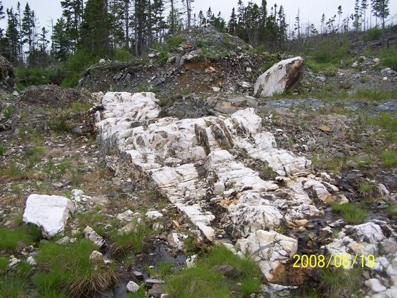 Christopher vein, Golden Promise Property