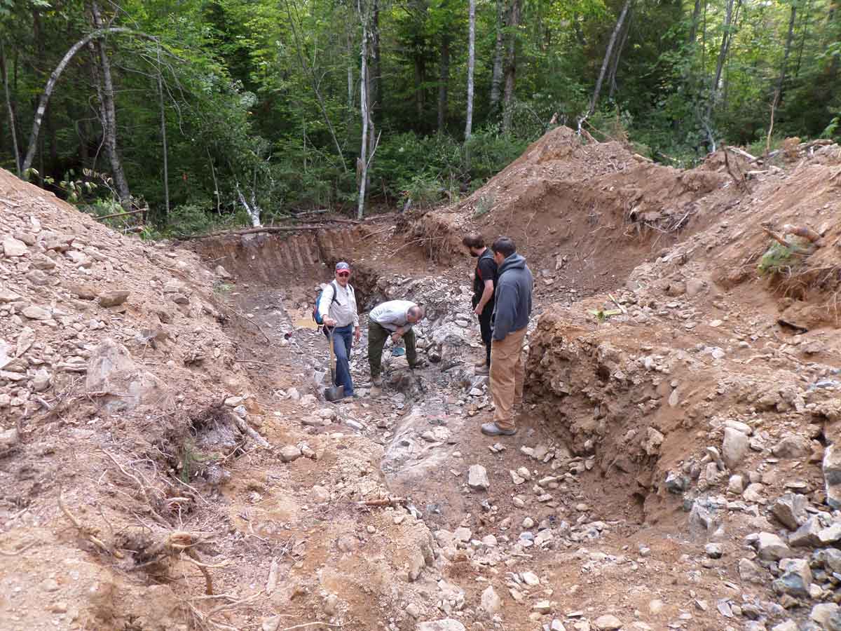 Trench at Elmtree 12 occurrence