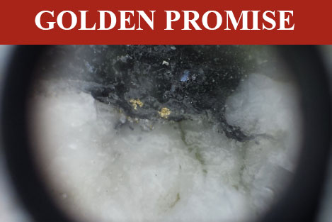 Golden Promise property