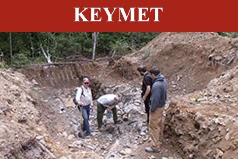 Keymet property